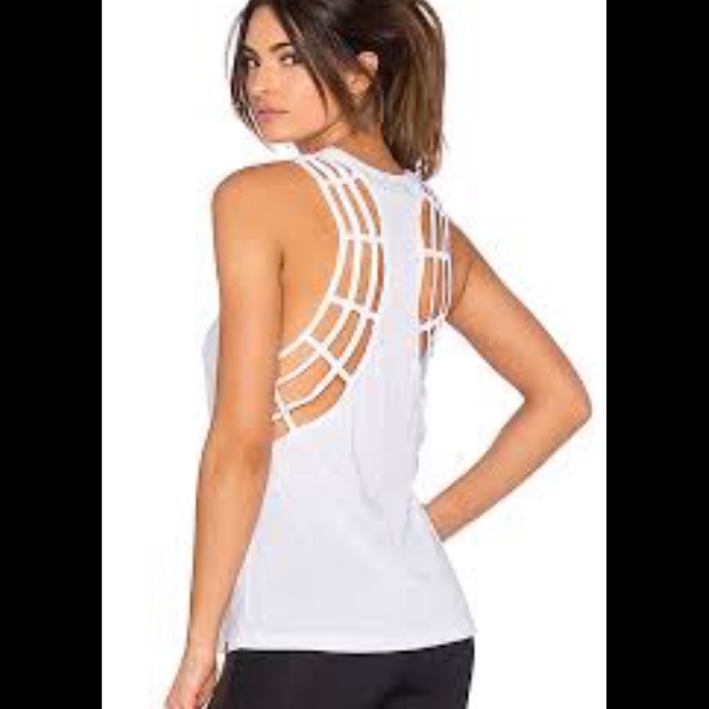 Koral Web Tank